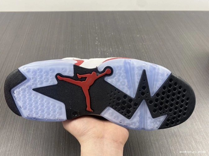 Rep Retro 6 Hare Jordan CT8529-162 0629